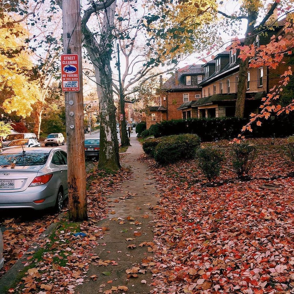 Gilbert_Rez's tweet photo. Happy fall y’all! 🍂 #fall #Pittsburgh #pennsylvania #pittsburghfall #fallinpittsburgh https://t.co/DCOnQ8CKMj https://t.co/0H9ztHyH3m