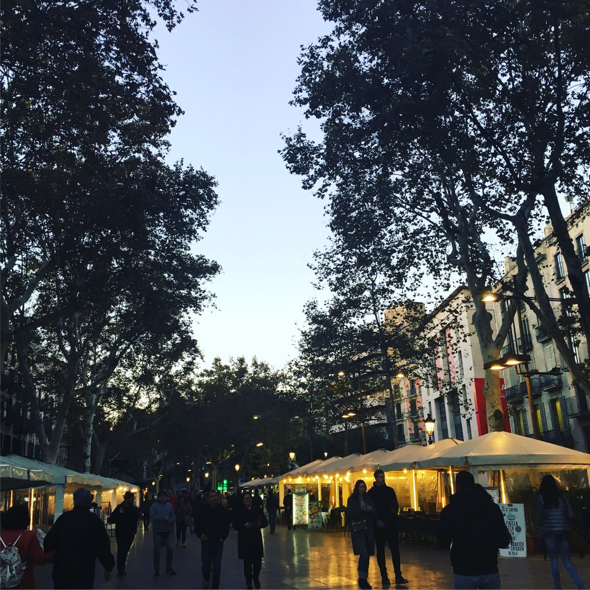 TourBCNToday's tweet photo. Quiet November evenings on the Rambla.... #someenchantedevening #barcelonavacay #ramblashopping #jointheadventure #barriogotic https://t.co/EHULXgphSW