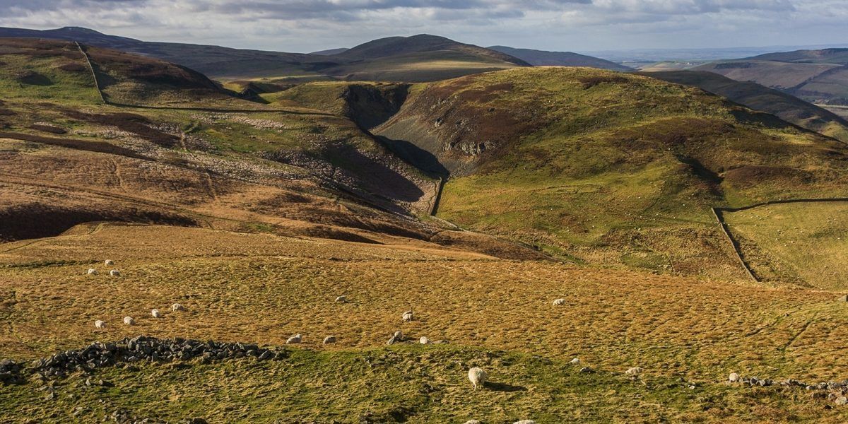 A trip to Yeavering Bell brings the Iron Age to life, with the remains of a large hillfort clearly visible.
j.mp/2zk5M9w