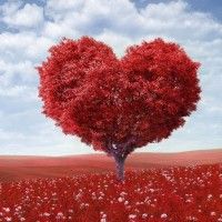 WeNurses's tweet photo. The art of the possible..

YouTube as a research tool 

Read more here > https://t.co/0itwwtw8MJ

#HARTSofthepossible https://t.co/5QWAmbkq4d