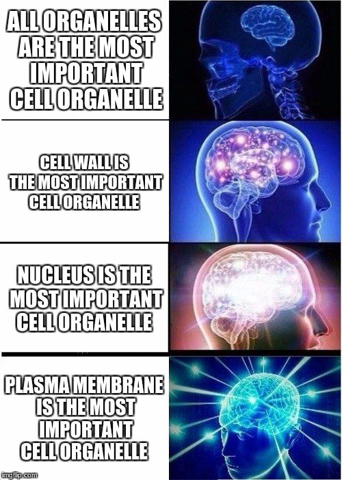 carl_membraneus's tweet photo. When you come to the realization that the cell membrane is /still/ the most important part of life. @mslaflamme #votethecellmembrane #stillthebestorganelle #Organellewars #youcanttouchthis https://t.co/OHeDvHCP5T