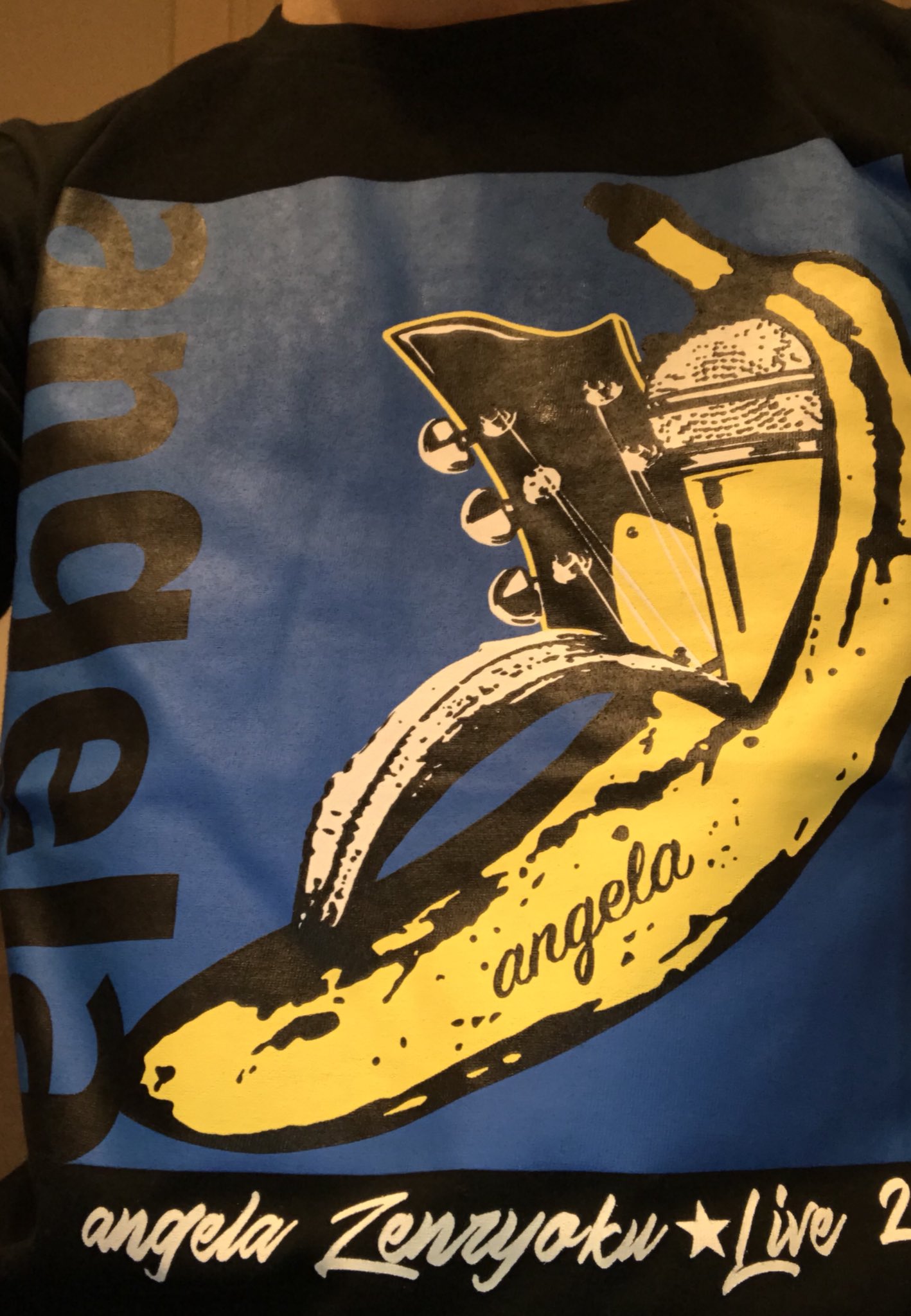 ヒロユキ Angelaさんのライブに行ってきました 全力で盛り上がれるライブでしたー アホガールのオープニングの全力 Summer も聴けて嬉しかったです 写真は物販で買ったtシャツ イカす T Co Shx2atqxt9 Twitter