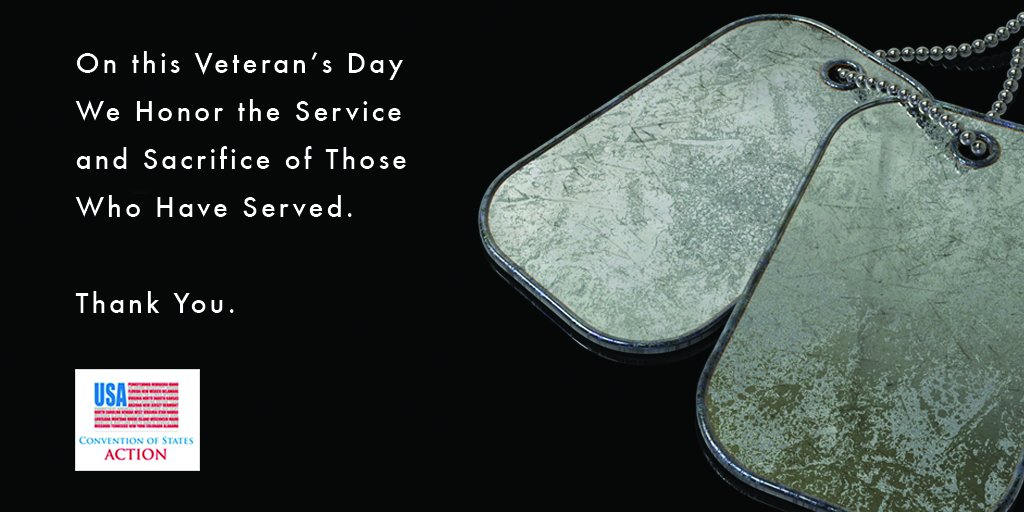 COSProjectMN's tweet image. With Deepest Gratitude to Those Who Have Served.  #VeteransDay #COSProject