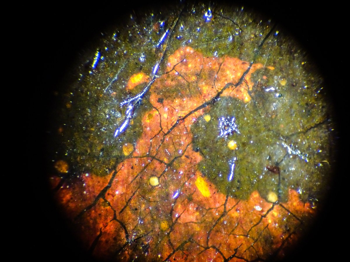 GillespieStudio's tweet photo. Mesmerised by these amazing #metalsoaps forming #microlandscapes #paintingsconservation #HappyFriday everyone https://t.co/2RqsMjHF9y