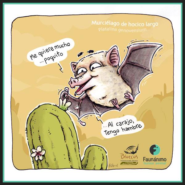 Bioecos E.I.R.L tweet media