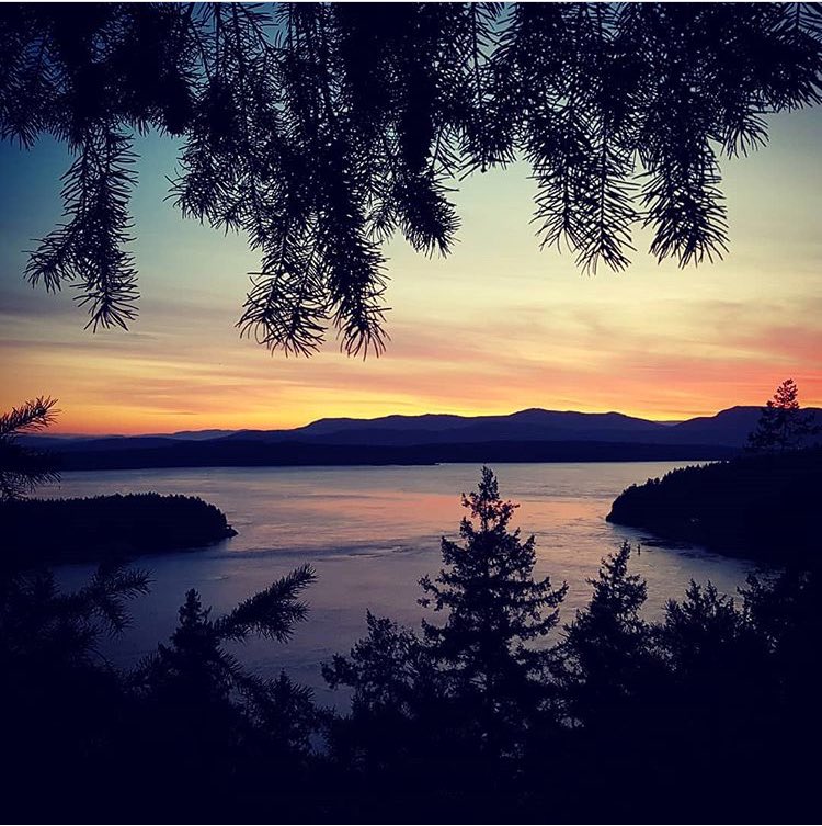 TourismGaliano's tweet photo. Beauty view over Active Pass ๐๐ฒ๐ ( ๐ธ @jeffrey.charles.1111 ) #southerngulfislands #galianoisland #bcsunset #salishsea https://t.co/jMbF8GBEDt