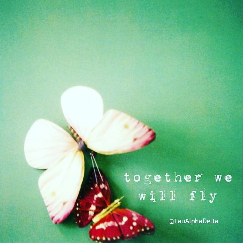 TauAlphaDelta's tweet image. #buildingsisterhood #comegrowwithus #flutterflutter💚