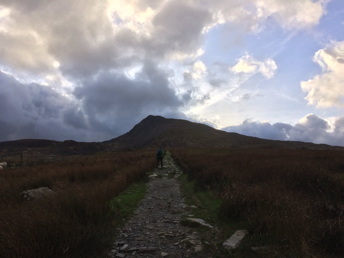 Steven Milford tweet media