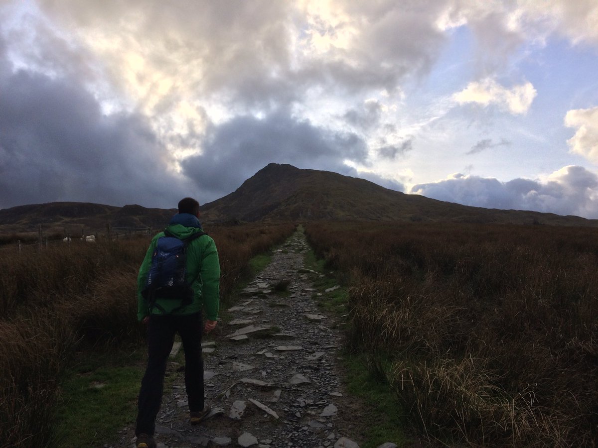 Steven Milford tweet media