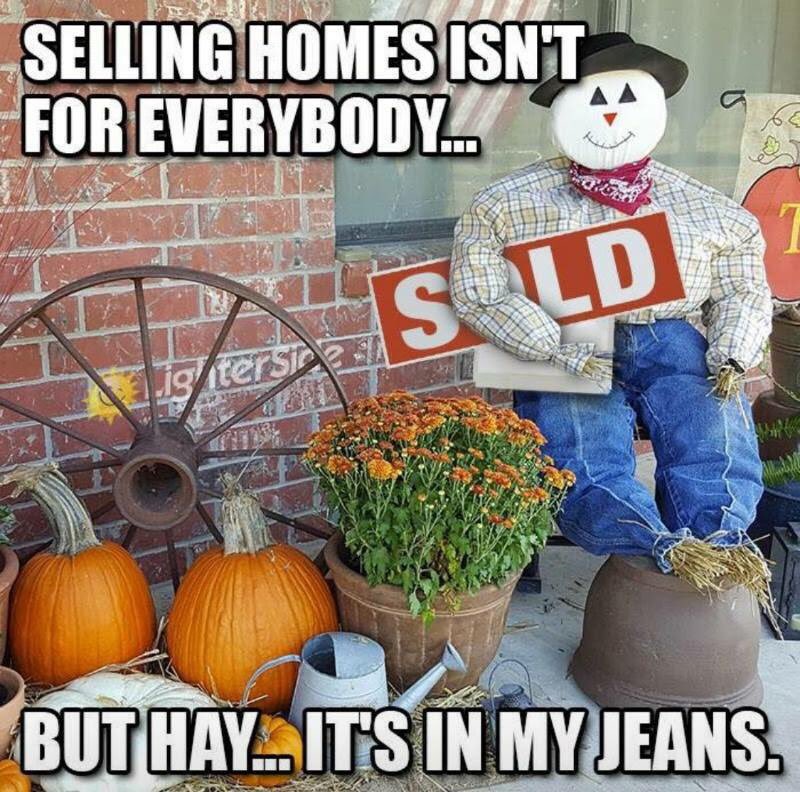 TheSoldSisters's tweet photo. We love what we do. Let us help you! #SoldSisters #itsinourgenes #FridayFunny #MiddleGARealty #wegotitfromourmama #middlegarealestate #Realtor #WeSELLMiddleGA #MonroeCountyGA #ForsythGA #customerservice https://t.co/Ffr3dfSSZm