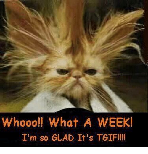 hushcitysp's tweet photo. #TGIF #happyfriday #hushcitysp #soundproofing #yyc #yycliving #yycnow #yychomes #yycbuilders #yyccustomhomebuilder #DIY #DIYsoundproofing #design #decor #yycshare #picoftheday #memes https://t.co/bKjNt3V9TA