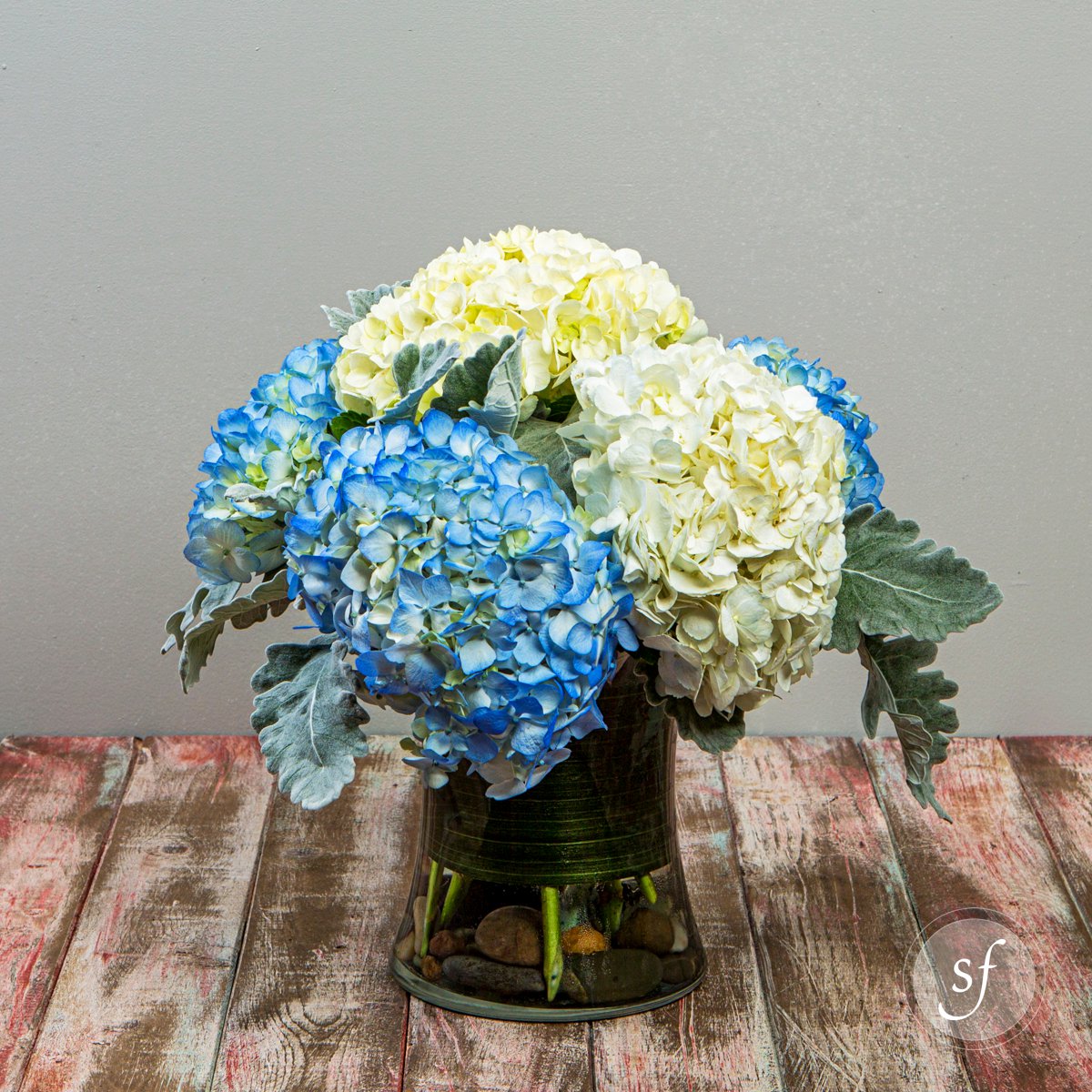 StevesFloralKS's tweet photo. Get a closer look at our Hydrangea Heaven here https://t.co/X14ER3rqoM #StevesFloral #Manhattan #Florist https://t.co/ARn7yrOKkL