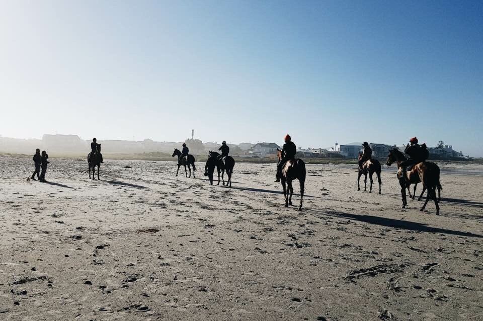 woodhillR's tweet photo. The big guns Gold Standard, Pack Leader and Eyes Wide Open enjoying a magnificent morning at Melkbos this morning! Thank you to Mike Louw for accompanying the team #capesummer #summerseason https://t.co/C50i8NEYhb