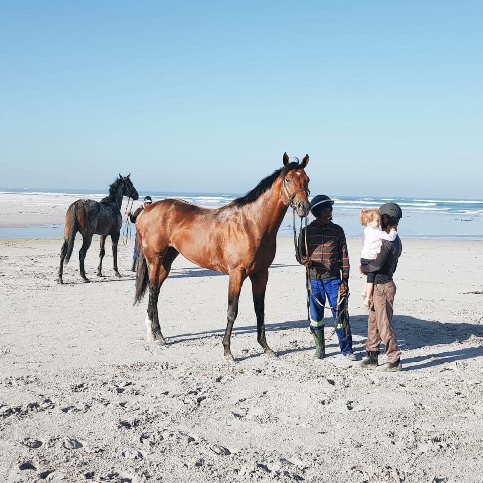 woodhillR's tweet photo. The big guns Gold Standard, Pack Leader and Eyes Wide Open enjoying a magnificent morning at Melkbos this morning! Thank you to Mike Louw for accompanying the team #capesummer #summerseason https://t.co/C50i8NEYhb