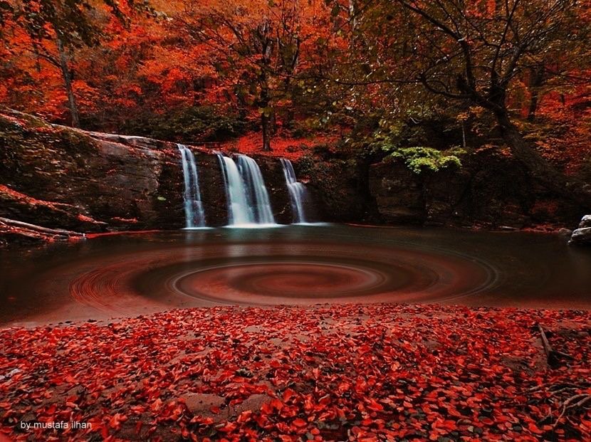 ramblingsloa's tweet photo. I alone cannot change the world,
But I can cast a stone across the waters to create many ripples.

Mother Teresa https://t.co/Sums1ZXlQI