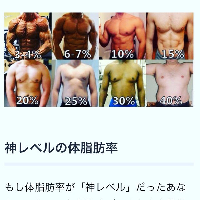 脂肪 15 パーセント 体 【細マッチョ】体脂肪率を10パーセントにするために必要なこと3選と注意点