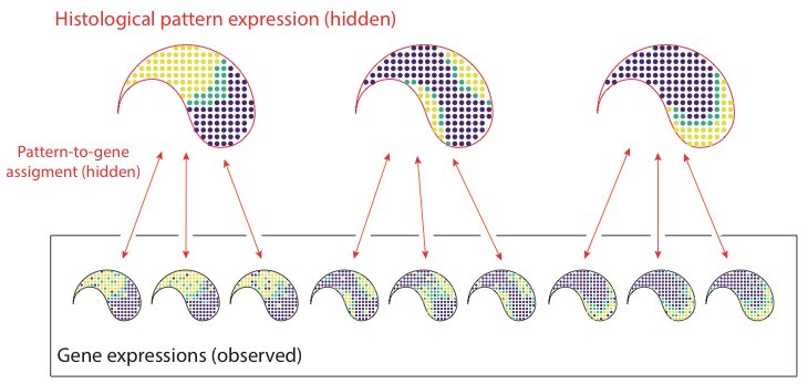 Valentine Svensson tweet media
