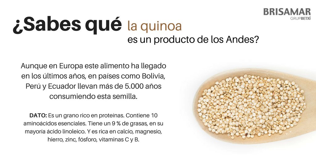 ➞ #CuriosidadBrisamarGrup | Quinoa