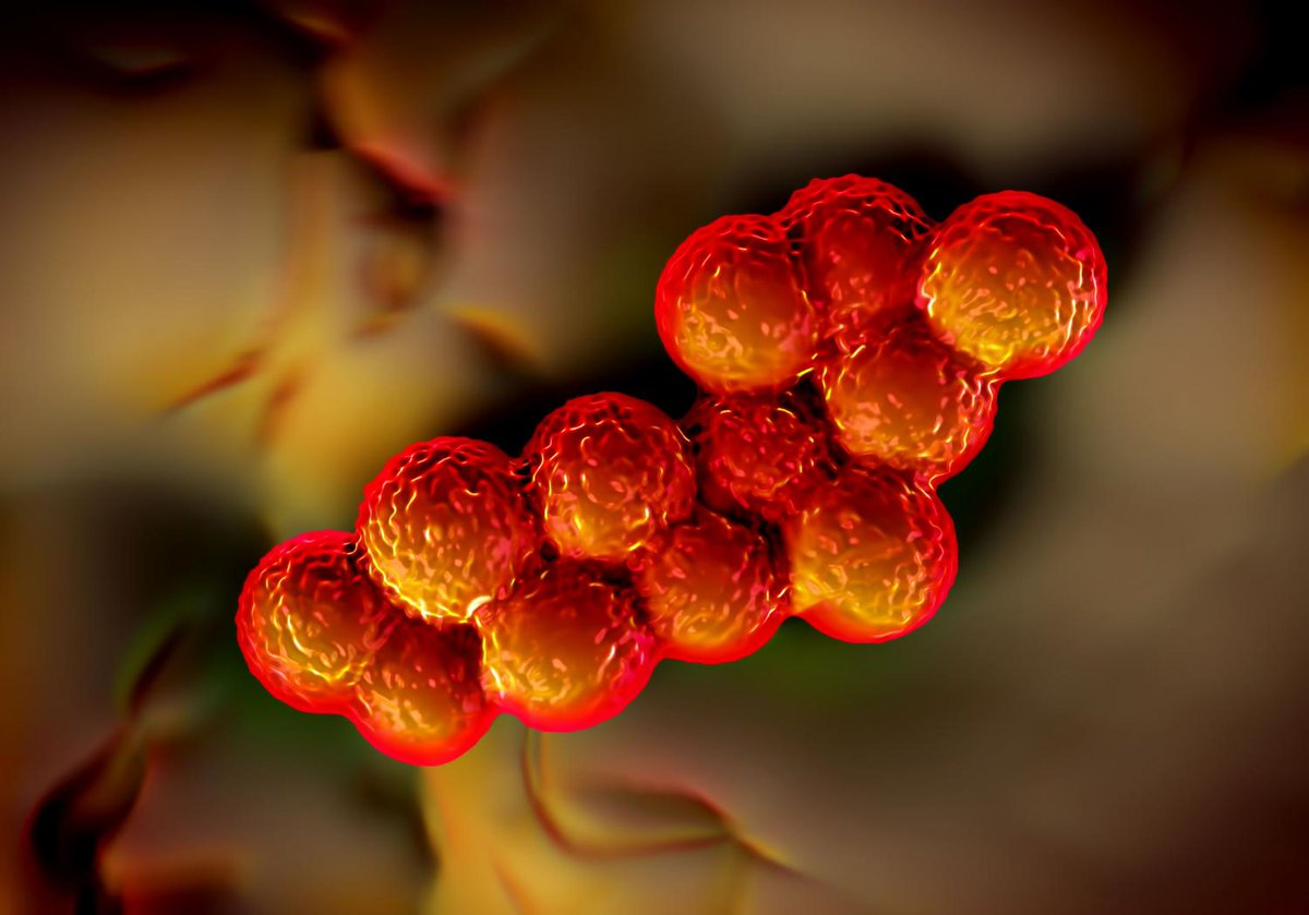 Chroma_Res's tweet photo. Can We Create Predatory Bacteria Using Chromatography?
Visit Journal of @ChromatoResearch https://t.co/vJWHwKhlG1