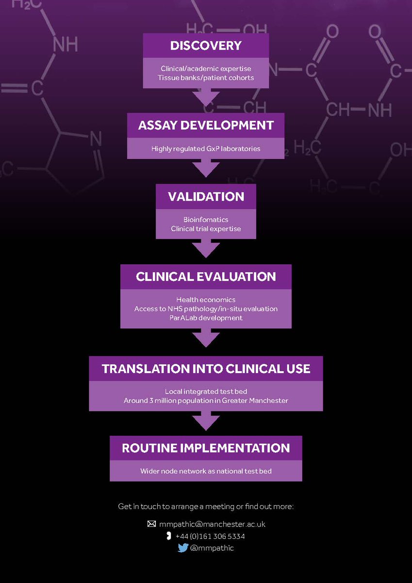 Manchester Mol Path tweet media