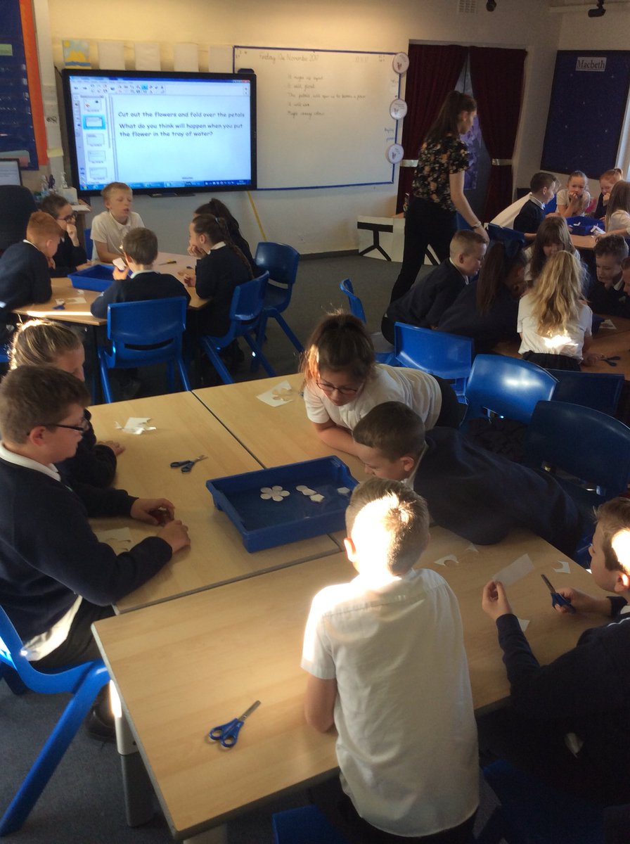 parkendprimary's tweet photo. Year 5 Mulberry have been experimenting with paper flowers to see if they sink, float or open up #tdtscience https://t.co/iOBYxawEJy