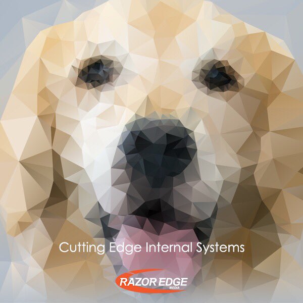 RazorEdgeMedia1's tweet image. Still working with Excel spreadsheets? - find out how we can help razoredge-media.co.uk/internal-syste… #internalsystems #Excel #Accounting #CRM #CustomerService #SystemDesign #userexperience #emailsoftware #software #emailmarketing #textmarketing #salessystem #leads #projectmanagement