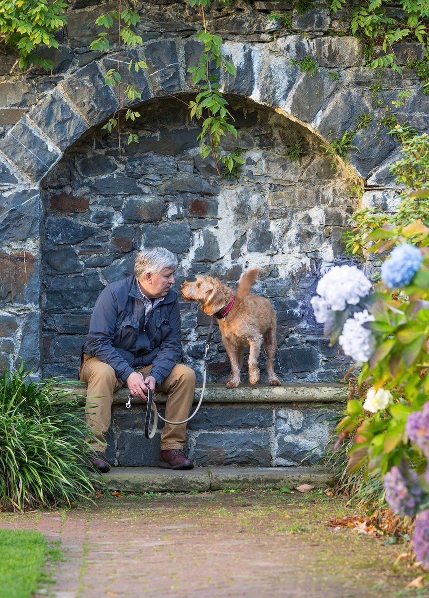 It's November so I can go to @BodnantGardenNT every day now. Here I am in deep discussion with dad as to where and when my next biscuit is coming from. #dogsoftwitter #HappyFriday #nationaltrust