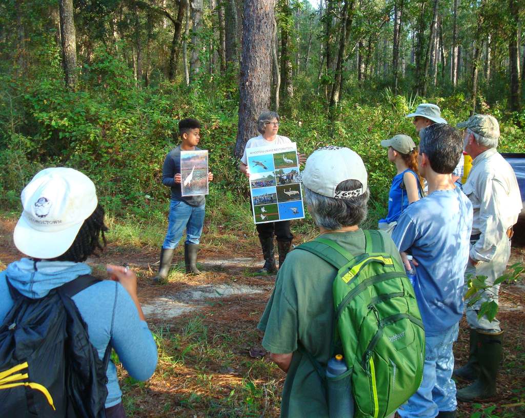 OperMigration's tweet image. First Aid for the Whooping Crane Pen at St. Marks National Wildlife Refuge operationmigration.org/InTheField/201…