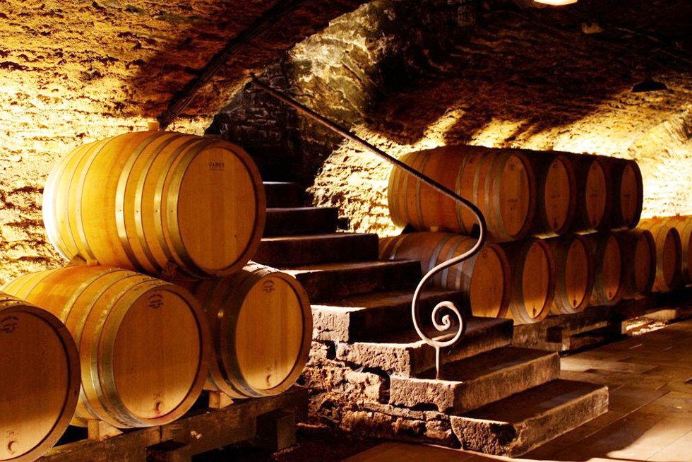 EnjoyVenezuela's tweet photo. #FelizFinde Este proximo 12 de noviembre, es un día para celebrar lo mejor del #Enoturismo #DiaEuropeoEnoturismo @ClubPomar #VinosTravel #Bodegas #Vendimias #Vinos #Wine #Winelovers #CatasGourmet #Gastronomia #Travel #Viajes #Venezuela https://t.co/l6WfzC7HSb
