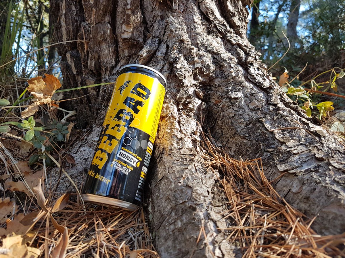 baldi98_ricky's tweet photo. Sempre in gamba! #slacklines #tricklines #equilibrio #balance #parcosolleone #movic #beebad #elfo #animatori #animatorituristici #social #socialmediamarketing https://t.co/f8PrsqEhOj