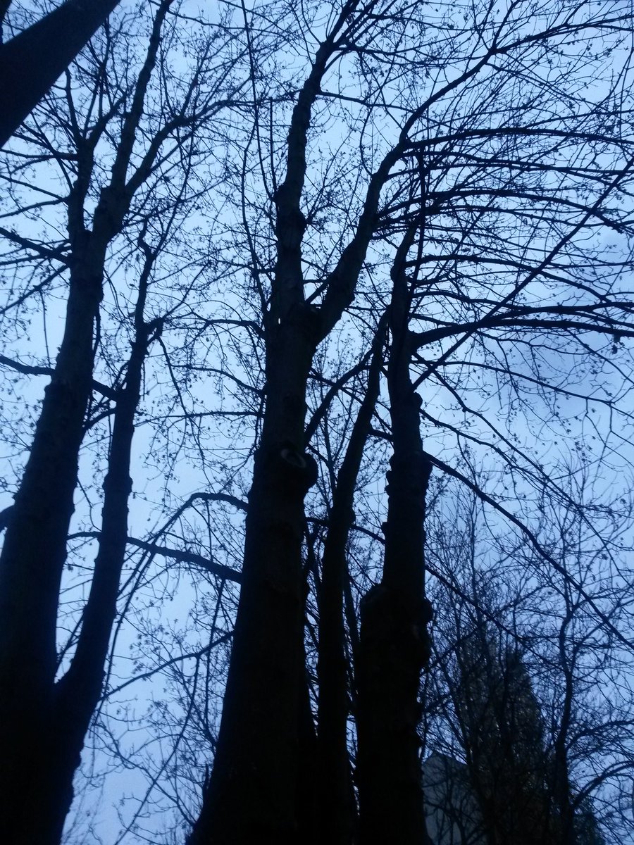 cesdenne (@cesdenne) on Twitter photo 