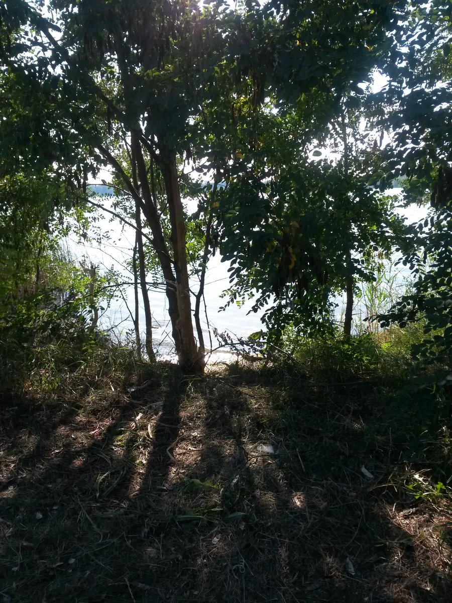 cesdenne (@cesdenne) on Twitter photo 