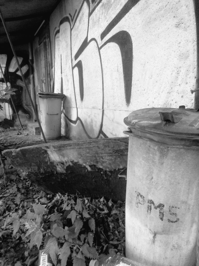 cesdenne (@cesdenne) on Twitter photo 