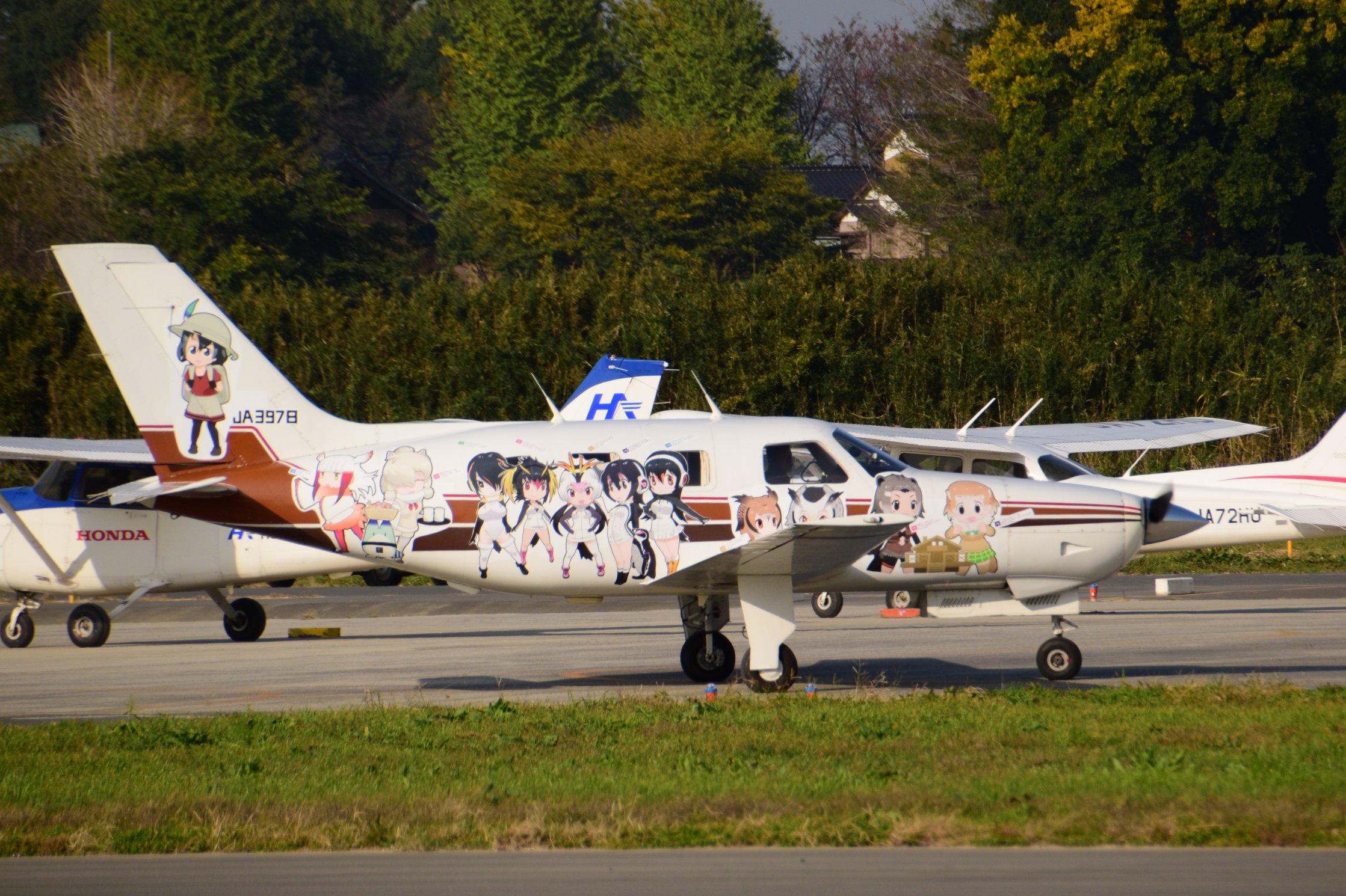 Mizuki 今日のホンダエアポートpart1 けものフレンズの絵が書かれた飛行機を撮ってきました 空飛ぶたぬきさんが降りてきたら リアルたぬきも登場しました 笑 けもフレ痛飛行機 T Co Yobxpxvpqg Twitter