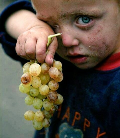 Mahnoor775's tweet photo. Some are tasted with poverty,
Some with plenty❤️ https://t.co/XqoQl5u3Bw