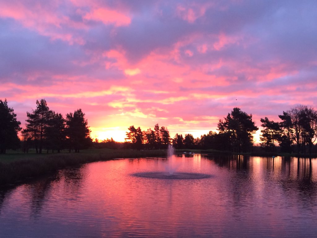 BIGGALtd's tweet photo. Congratulations to the team at @MinchGolfClub on being revealed as a finalist in the @golfenvawards 2018 in the #OutstandingEnvironmentalProjectOfTheYear category for the project entitled ‘Connecting the Land – Dead Hedging and Stumperies’ https://t.co/Hi5Bga857r https://t.co/6HNuWb9JFf