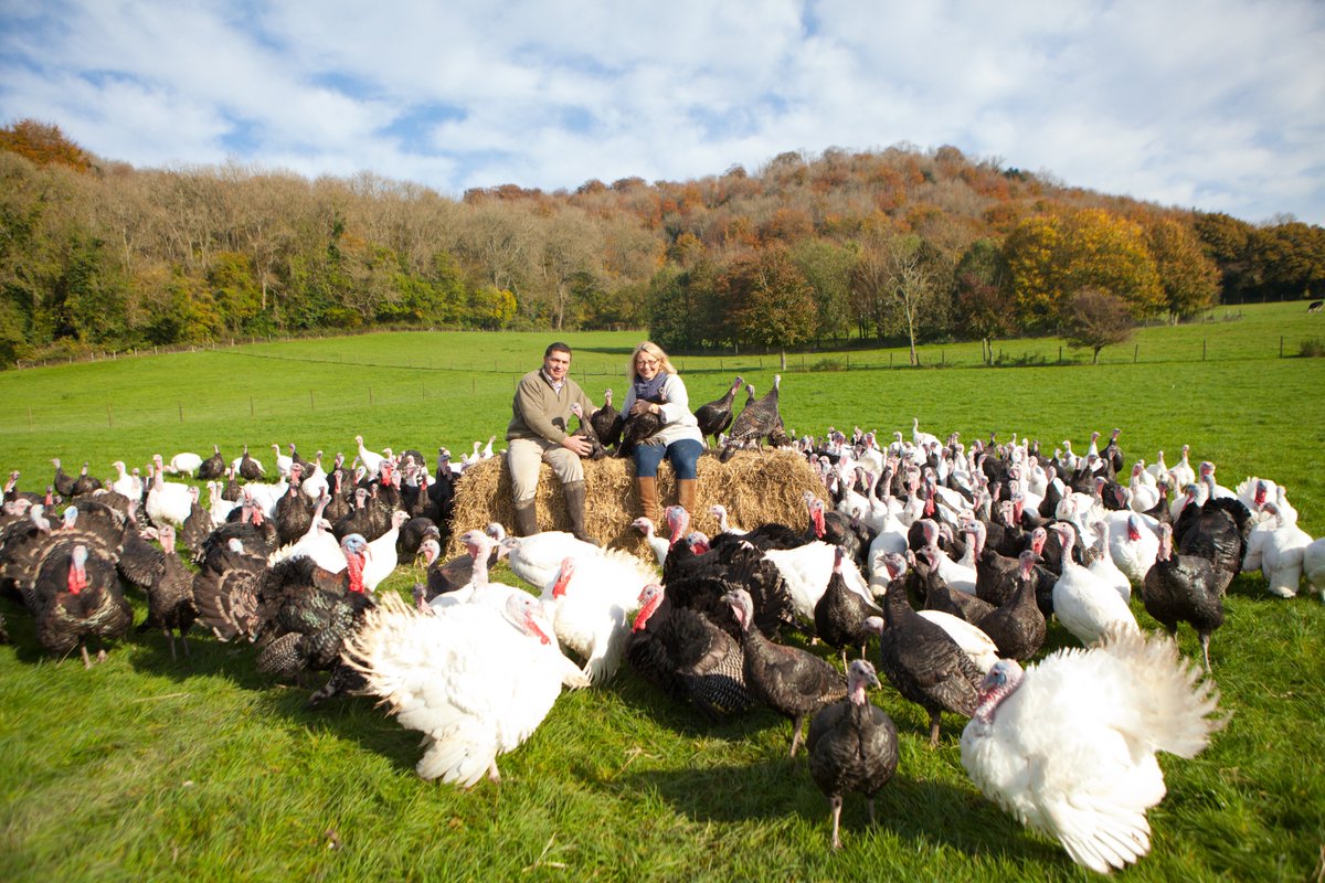 Order and pay for your Ashford Farm free range turkey or goose before the 14th November 2017 to benefit from last year's prices.  ashfordfarmturkeys.co.uk or call 01730 268131.  <a href="/HampshireFare/">Hampshire Fare</a> <a href="/NFUSouthEast/">NFU South East</a>