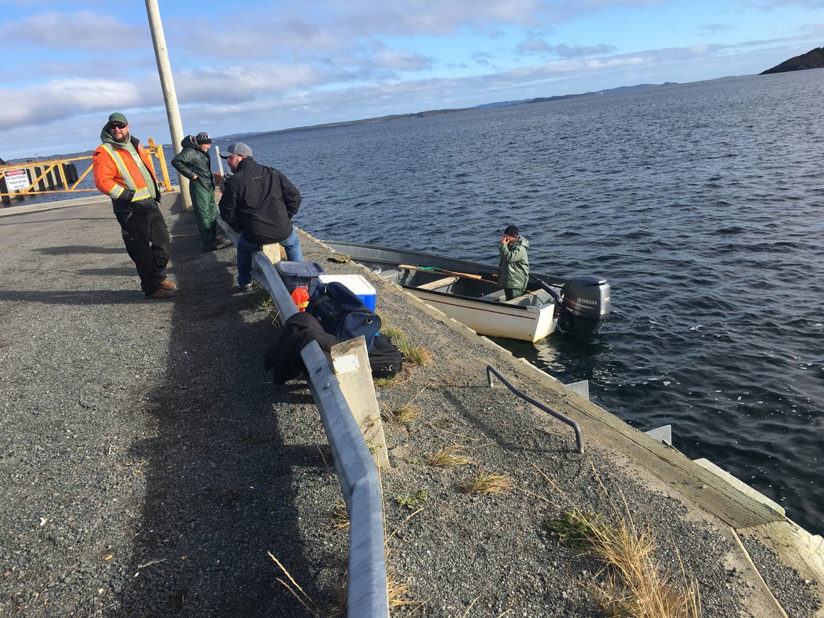 Colleen Lewis tweet media