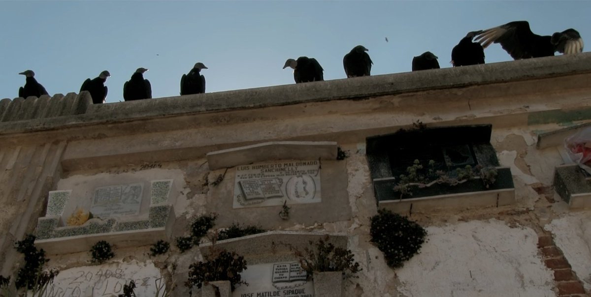 DocumentaMadrid's tweet photo. Este domingo es el día de #SubTerrae de Nayra Sanz Fuentes. Se proyecta en el festival Zinebi a las 17.30 h. https://t.co/bnMbYvS17g. Si estás en Madrid podrás verlo en @ALCINEFILMFEST a las 19.45 h. https://t.co/9tuX4rUFLR https://t.co/khmXKHAo1k