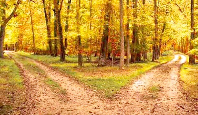 DonnaLPeterson1's tweet photo. Two roads diverged through the yellow woods...I took the road less traveled ~Robert Frost #Autumnwatch #FallFoliage https://t.co/3b1S9r5iAu