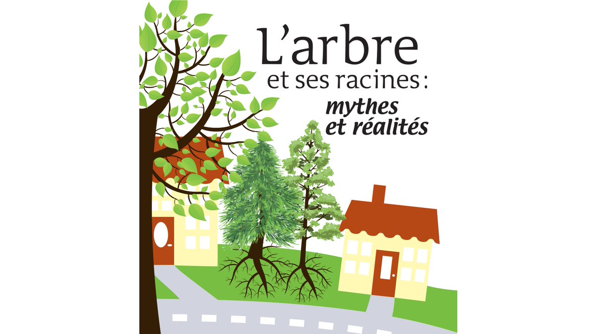 SIAQinc's tweet photo. « L’arbre et ses racines : mythes et réalités »
... et solutions !
PDF: https://t.co/WdBR9TphEK 
#Montréal #Racines #ArbresUrbains https://t.co/bJV2uwgEPu