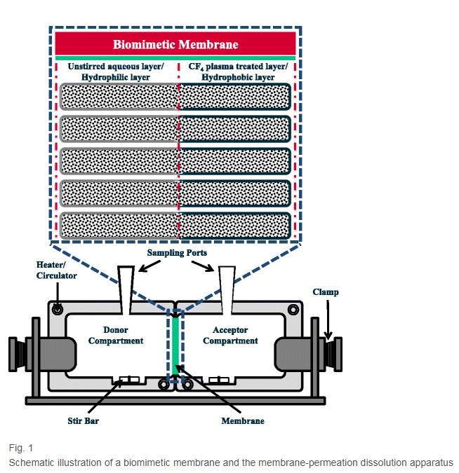 AAPSComms's tweet photo. Plasma modification of microporous polymer membranes for application in biomimetic dissolution studies #AAPSO https://t.co/u4mte5SR0d https://t.co/HauxGPiyTH