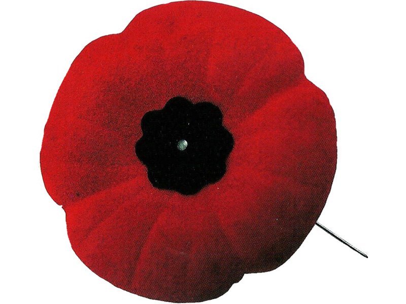 Remembrance Day Events dlvr.it/Q0Dw0D https://t.co/G2AyAfiBB0