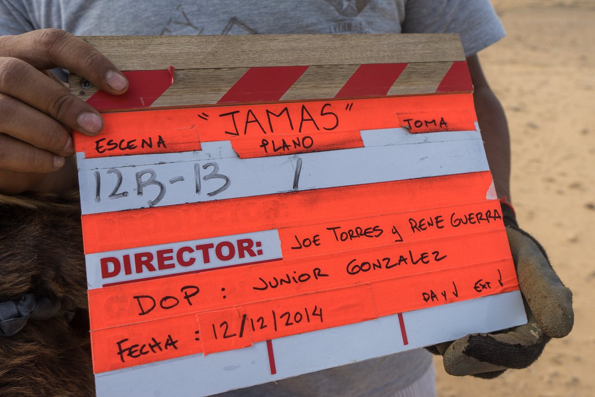 Con la #SelecciónOficial al  <a href="/FeciveStgo/">FECIVE Stgo</a> sumamos 11 nominaciones y 10 pantallas internacionales para #ANTÖ ¡Gracias a ustedes! 🇻🇪📽🇨🇱