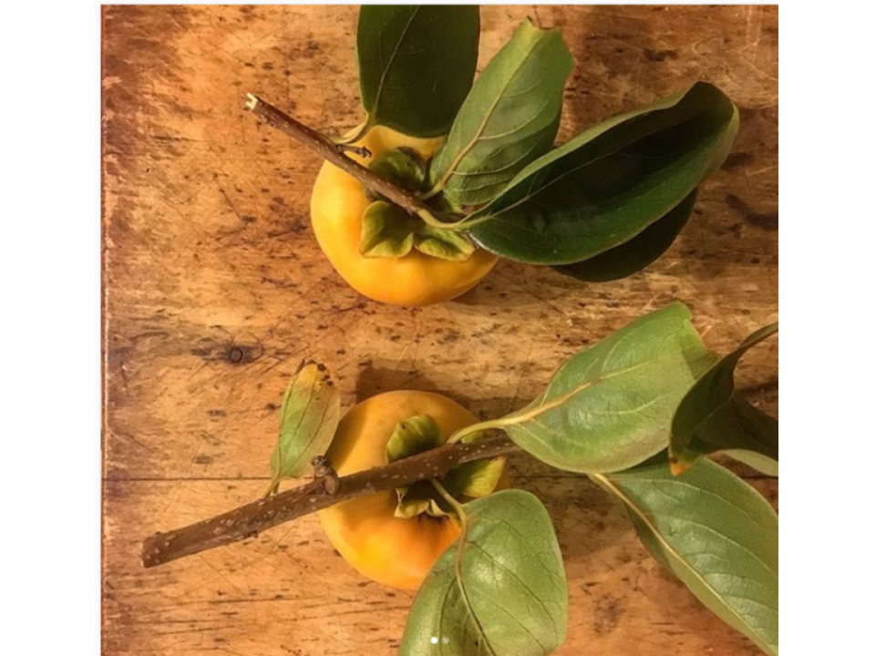elementsNJ's tweet photo. Wow look at these persimmons! Thanks @chefmikeryan ! #persimmonseason #elementsnj #elements https://t.co/uYcSJjzHFw
