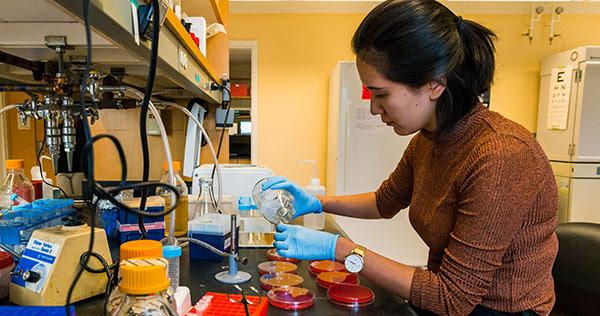 k8e_jones's tweet photo. Boston College announces the new Schiller Institute for Integrated Science and Society. #WeAreBC #BCPromo - https://t.co/CkhFdh3OIZ https://t.co/RtyKjWuxKJ
