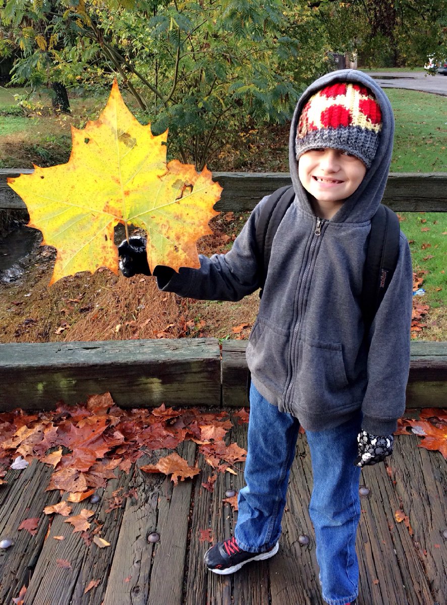 Jmelynn0103's tweet photo. Dylan found the biggest leaf EVER!
#CallGuinness https://t.co/JvkwJqfcyg