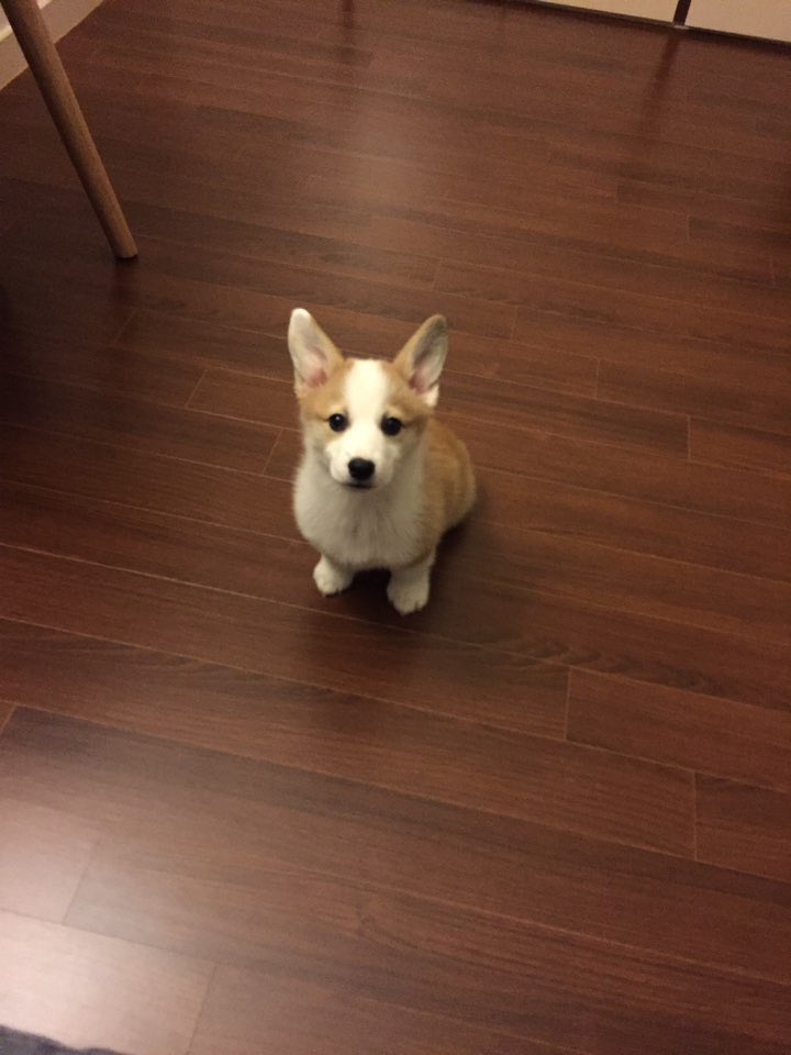 fritzer2000's tweet photo. 자몽이 성장기
@yes_9493 https://t.co/Ygnnd4z2qd