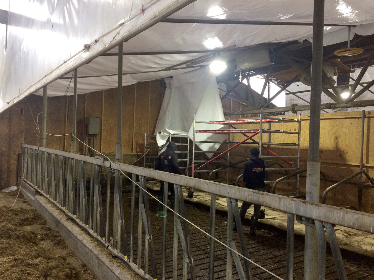 DairyCampus's tweet photo. We blijven #vernieuwen! Door veel aanvraag #milieu- en mestonderzoek wordt ook oude meetstal opgeknapt. In milieustal komt nieuwe vloer @HighWelfareFloo met mesttransporteur #JOZ https://t.co/c8iKrBcVJG