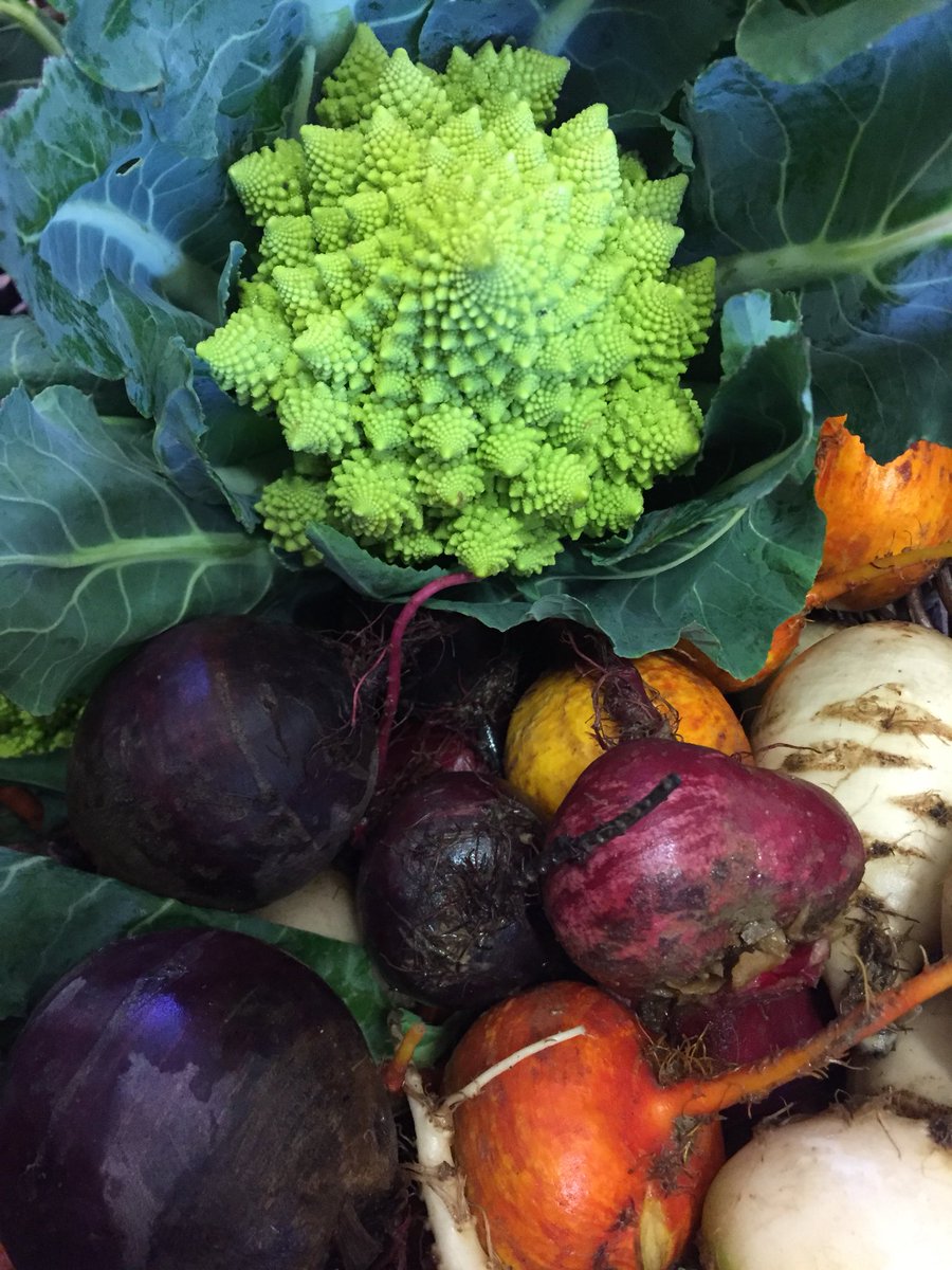 Riversfield Organic local &amp; beautiful! We love these ❤️ #lovekilkenny